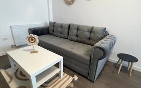 Sunny Apartments Suceava 64