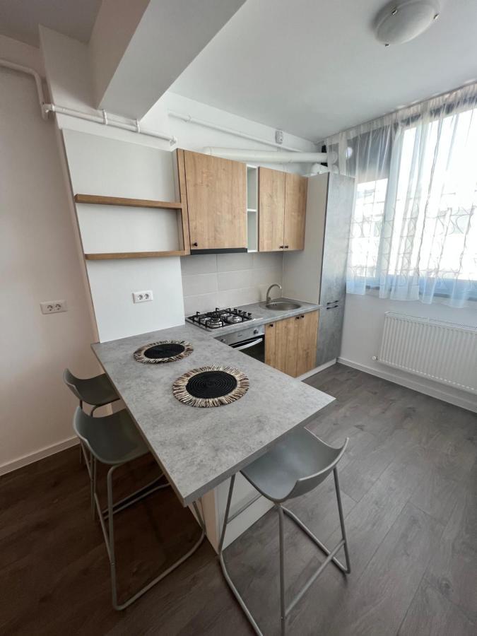 Sunny Apartments Suceava 64 Екстер'єр фото
