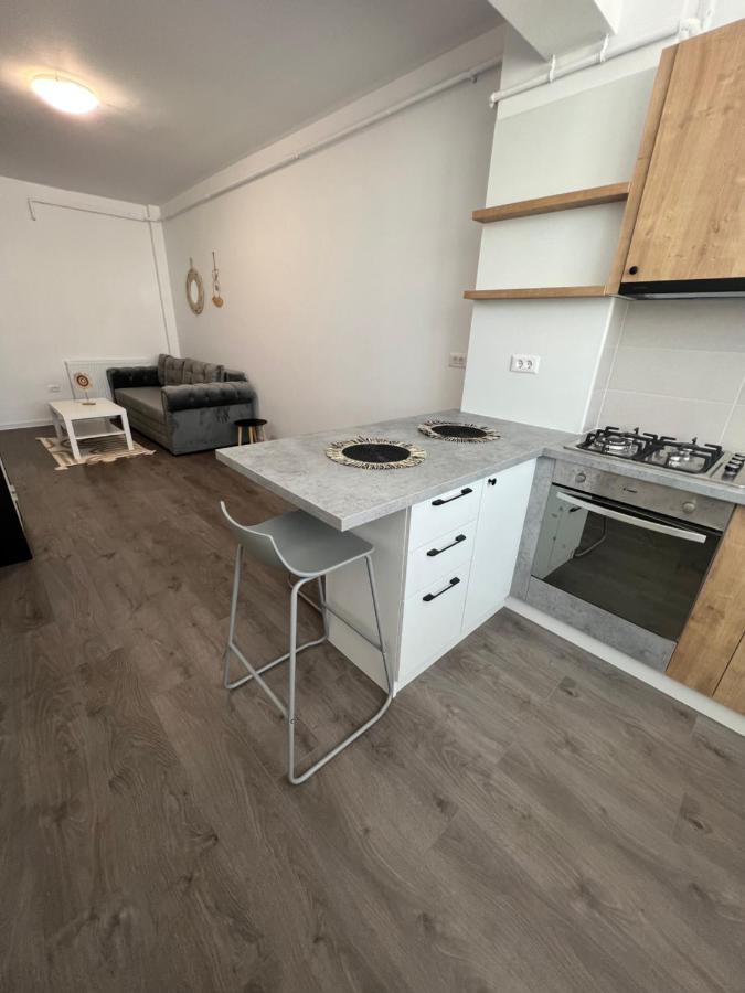 Sunny Apartments Suceava 64 Екстер'єр фото
